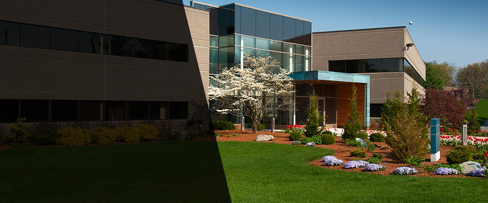 Creedmoor Landscapers