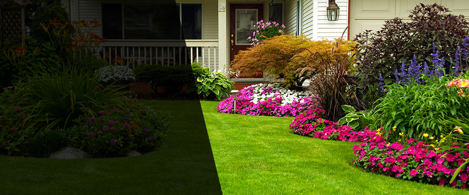 Creedmoor Landscapers