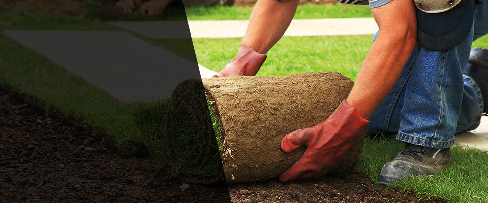 Creedmoor Landscapers